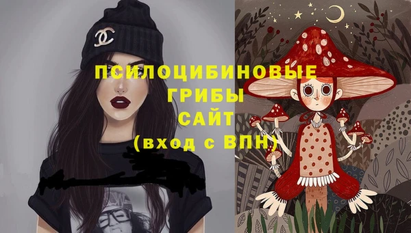 ГАЛЛЮЦИНОГЕННЫЕ ГРИБЫ Балабаново